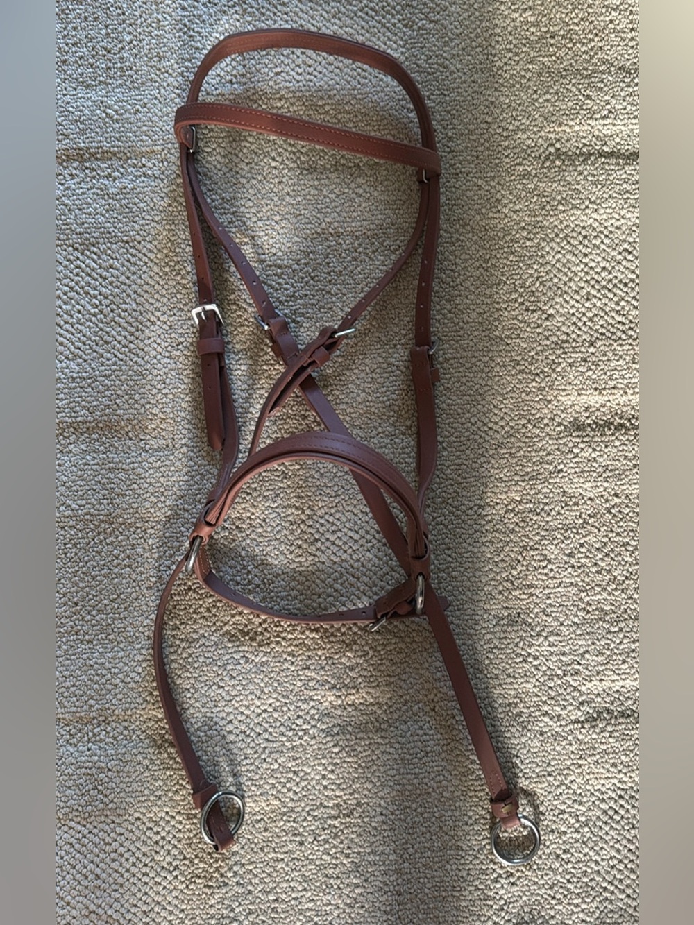 New Dr Cooks Bitless bridle